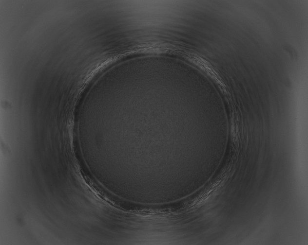 X0000090490434200708031150