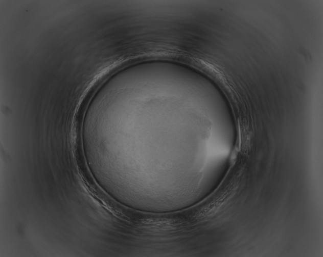 X0000090490435200708031150