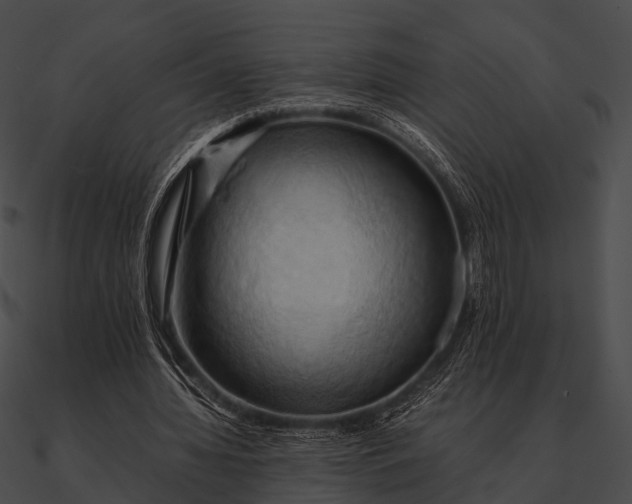 X0000090490436200708031150