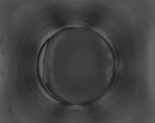 X0000090490437200708031150