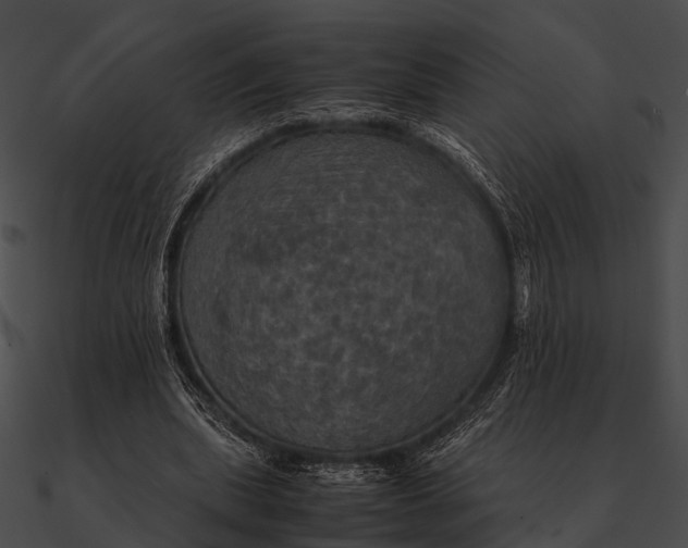 X0000090490439200708031150