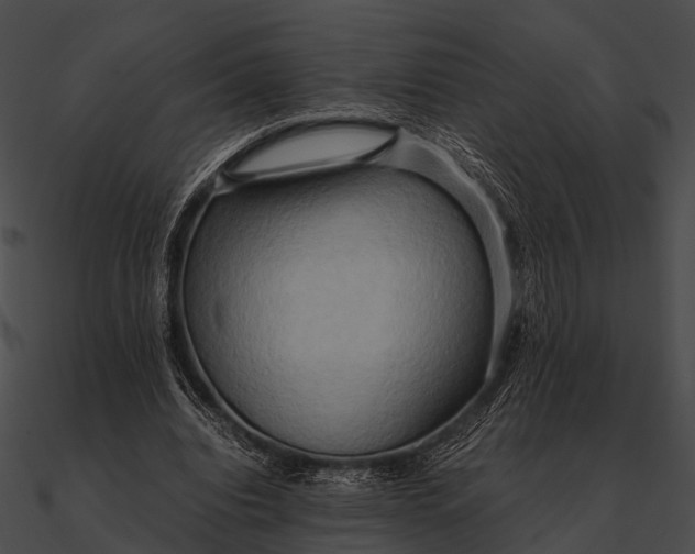 X0000090490440200708031150