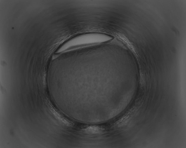 X0000090490441200708031150