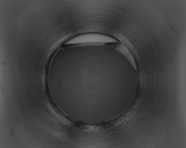 X0000090490442200708031150