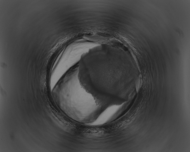 X0000090490443200708031150