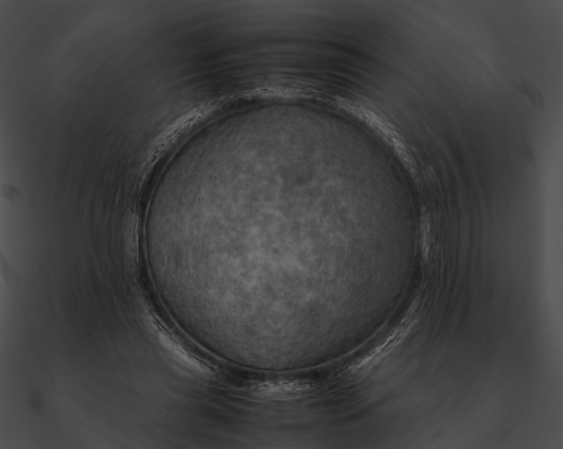 X0000090490445200708031150