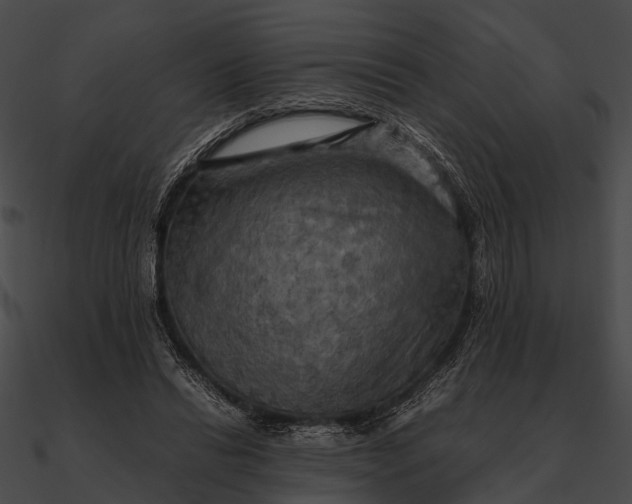 X0000090490446200708031150