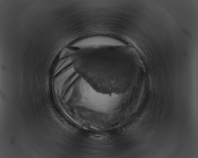 X0000090490447200708031150