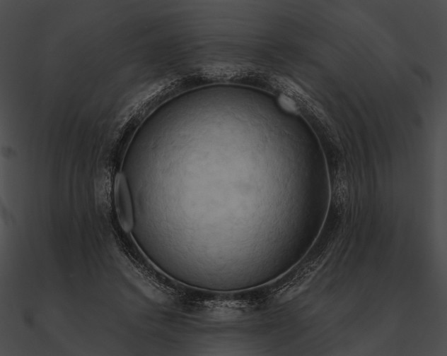 X0000090490448200708031150