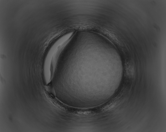 X0000090490450200708031150