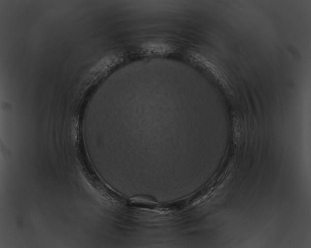 X0000090490451200708031150