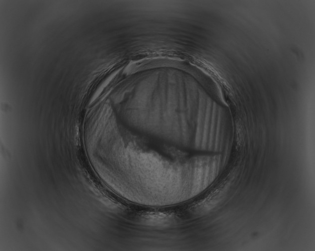 X0000090490453200708031150