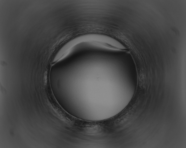 X0000090490454200708031150