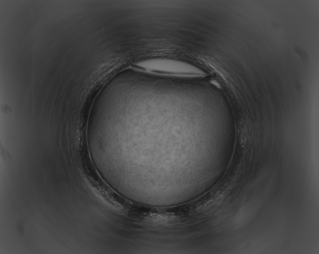 X0000090490455200708031150