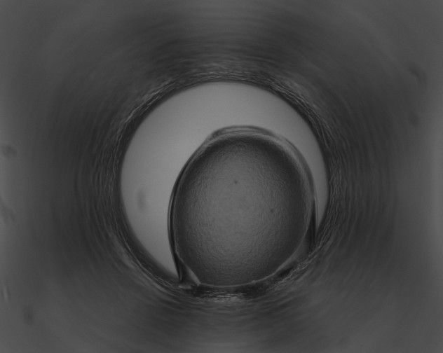 X0000090490456200708031150