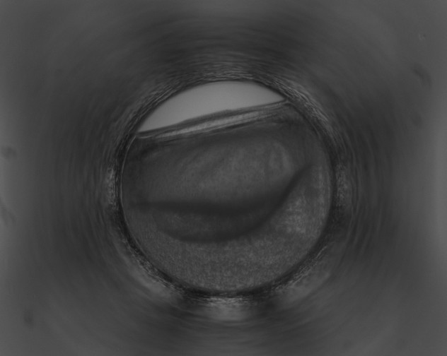 X0000090490457200708031150