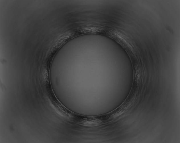 X0000090490459200708031150