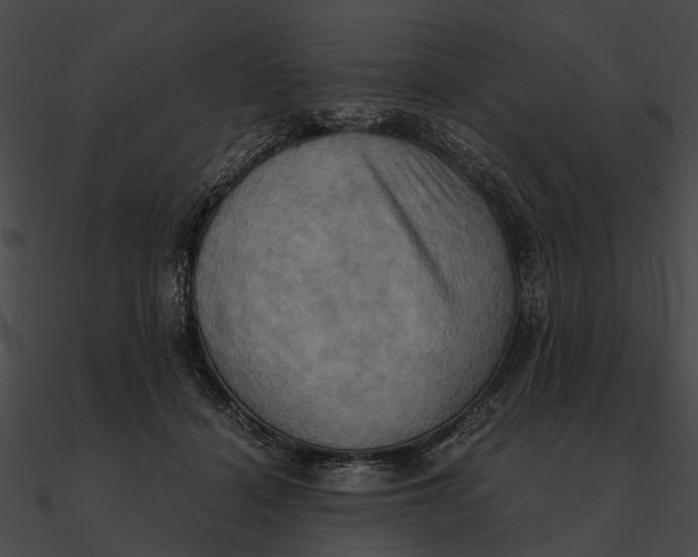 X0000090490460200708031150