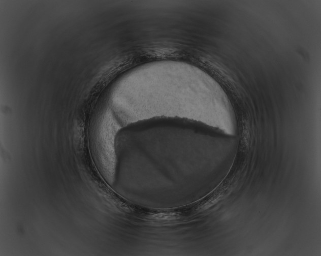 X0000090490461200708031150