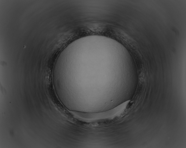 X0000090490464200708031150