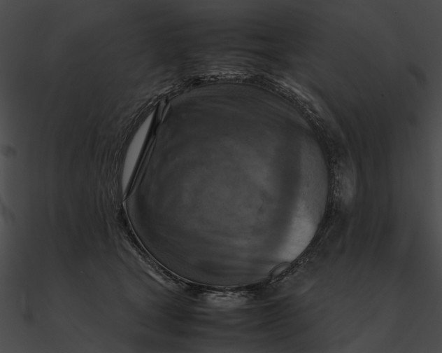 X0000090490465200708031150