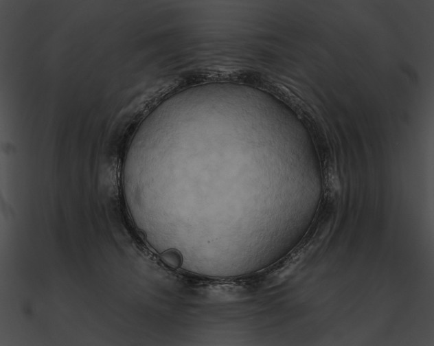 X0000090490468200708031150