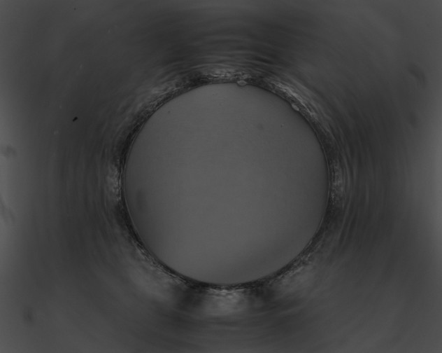 X0000090490469200708031150