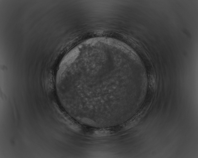 X0000090490470200708031150