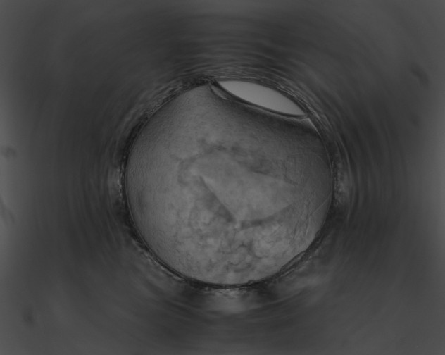 X0000090490473200708031150