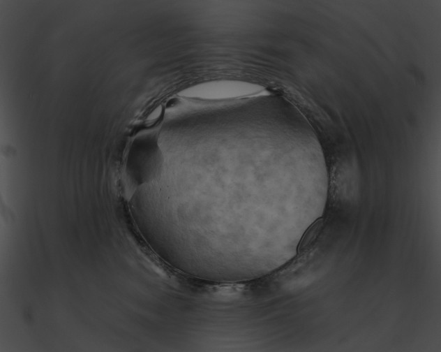 X0000090490474200708031150