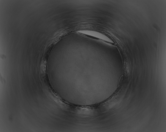 X0000090490475200708031150