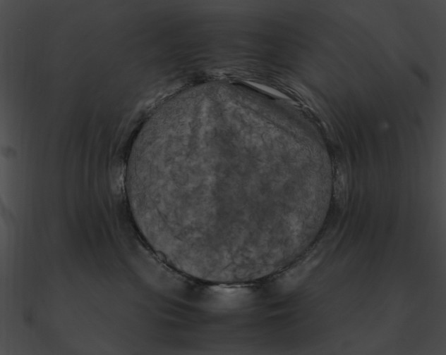 X0000090490477200708031150