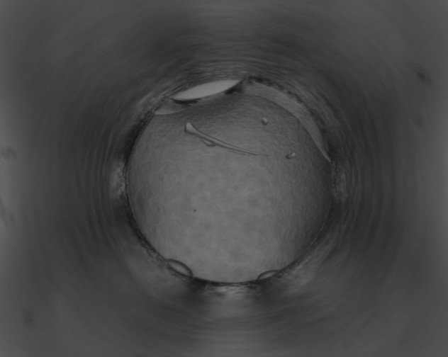 X0000090490478200708031150