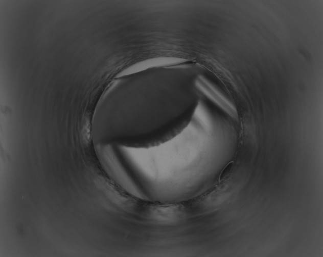 X0000090490479200708031150