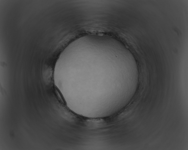 X0000090490480200708031150