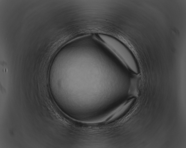 X0000090490481200708031150