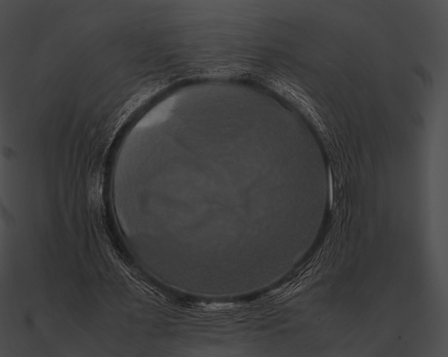 X0000090490483200708031150