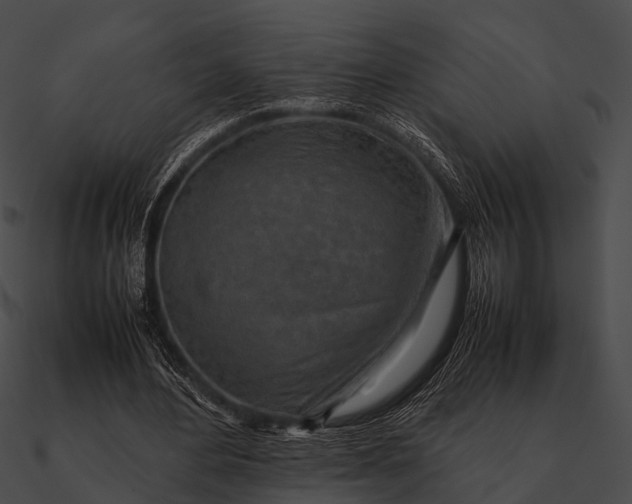 X0000090490484200708031150