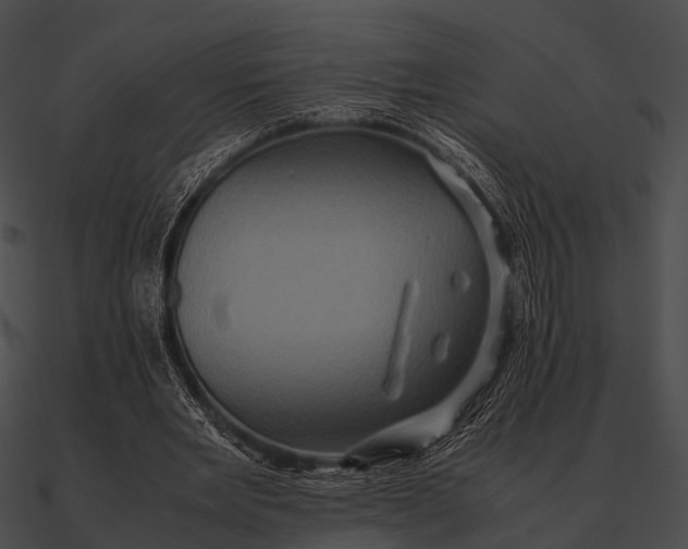 X0000090490485200708031150