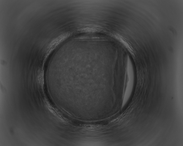 X0000090490486200708031150