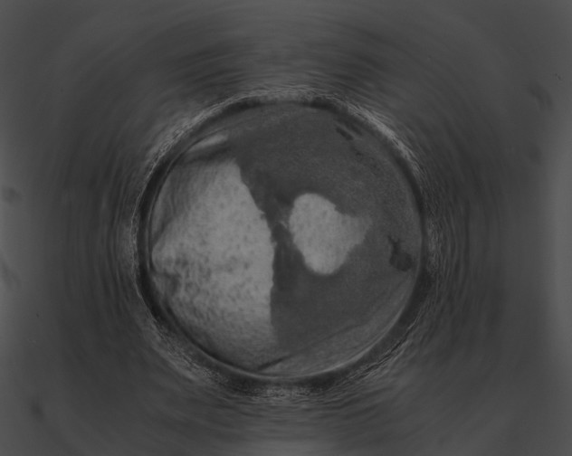 X0000090490487200708031150