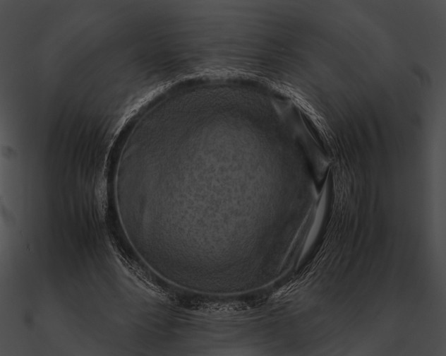 X0000090490488200708031150