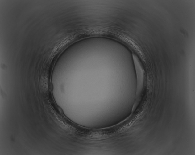 X0000090490489200708031150