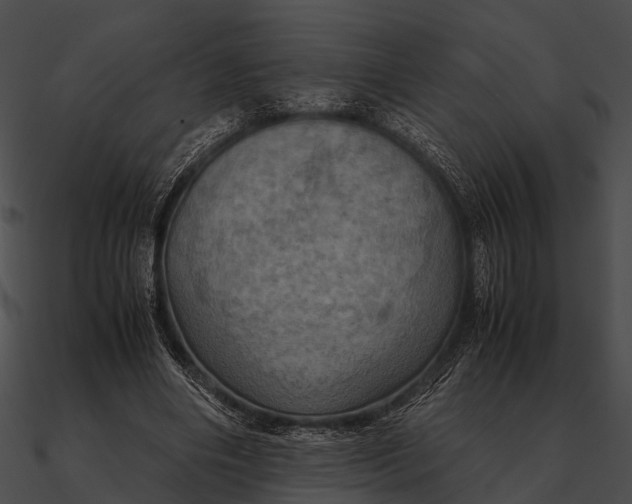 X0000090490490200708031150