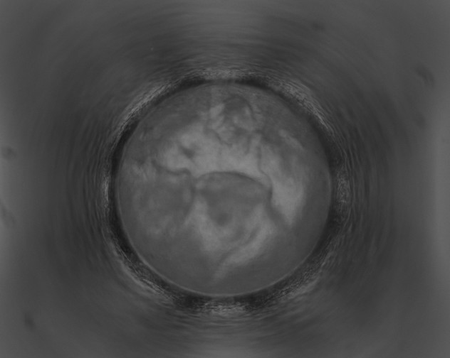 X0000090490491200708031150