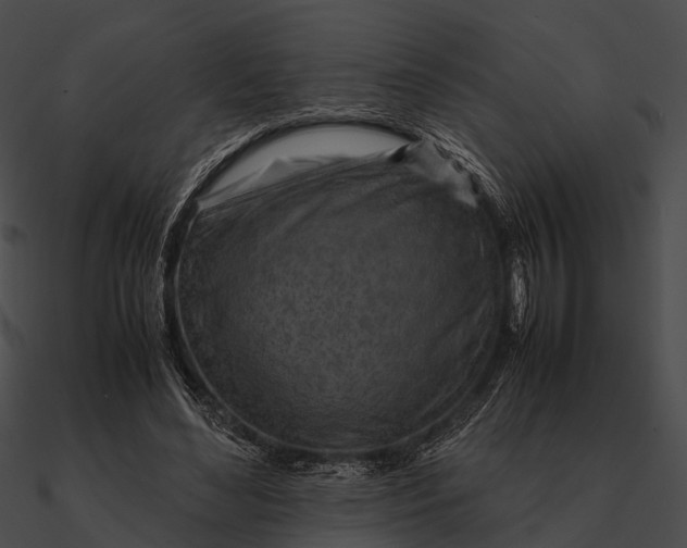 X0000090490492200708031150