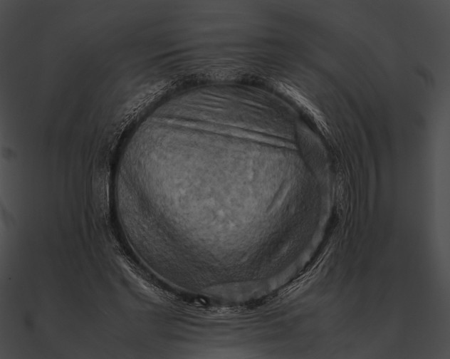 X0000090490493200708031150