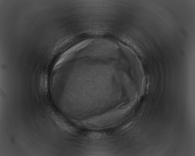 X0000090490494200708031150