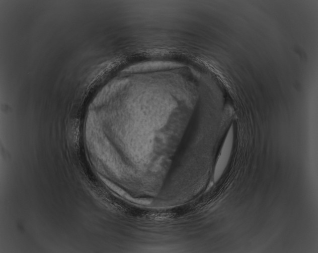 X0000090490495200708031149