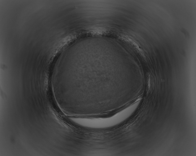 X0000090490496200708031149